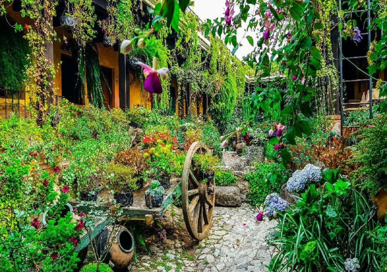 Hotel Eterna Primavera Antigua Eksteriør bilde